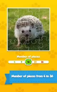 Baby Hedgehog - Jigsaw Puzzle Screen Shot 1