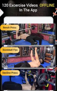 Pro Gym Workout -Gym & Fitness Screen Shot 11