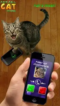 Fake Call Cat Prank Screen Shot 0