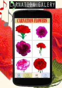 Carnation Flowers Color By Number-Pixel Art Screen Shot 3