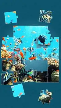 Sea Life Jigsaw Puzzles Screen Shot 13
