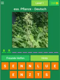 Pflanzen - Deutsch Screen Shot 10