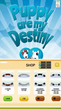 Puppy are my Destiny - match 2 game Screen Shot 0