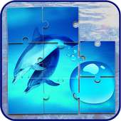 돌고래 직소 퍼즐 게임