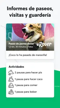Rover - Cuidadores de perros Screen Shot 3