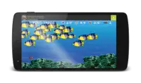 Wonder Fish Giochi Gratuiti HD Screen Shot 0