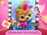 Rock Star Animal Hair Salon Screen Shot 14