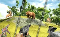 सफारी शिकार खेल 2020: पशु निशानची खेल Screen Shot 2