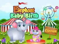 Elefante giochi nascita animal Screen Shot 0