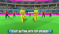 World Cricket Cup 2020 - Live Cricket Match Game Screen Shot 11