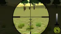 Wild Lion Hunting Sniper 3D Screen Shot 1