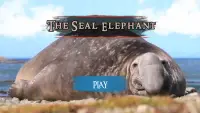 The Seal Elephant Screen Shot 1