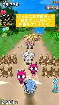 ゴロニャ！かわいいにゃんこ玉をあつめよう。指一本の簡単操作 Screen Shot 0