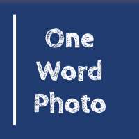 One Word Photo Same Room Multiplayer Game