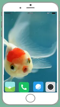 Fish Full HD Wallpaper Screen Shot 12