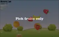 Happy Fruits Screen Shot 4