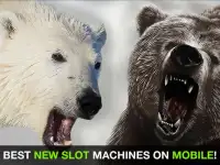 Bear Slots - Free Slot Casino Screen Shot 3