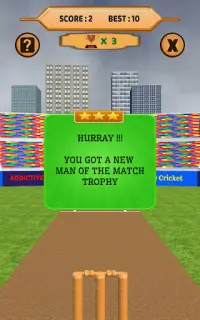 Bowled 3D - Cricket Game Screen Shot 17