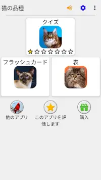 猫の品種 : クイズゲーム Screen Shot 2