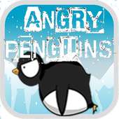 Crazy Angry Penguin
