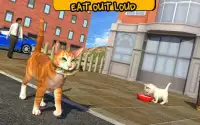 Street Cat Sim 2016 Screen Shot 4