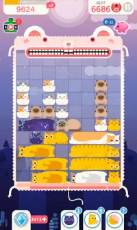 Slidey Cat 2020 Screen Shot 0