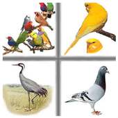 Bambini Memory Game Birds