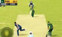 Pak Vs Eng World Cup Live Cricket Game Screen Shot 0