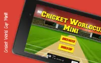 Cricket World Cup Mini Screen Shot 5