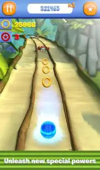 The Adventures of Sonic in Jungle Dash 3D Screen Shot 0