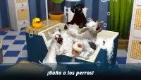 DogHotel - Juega con perros, administra guarderías Screen Shot 0