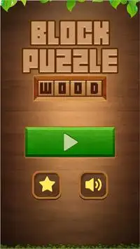 Block Puzzle: Wood Blast 2020 Screen Shot 4