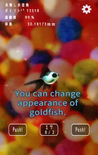 Goldfish Dream　goldfish scoop & goldfish breeding Screen Shot 16