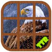 Eagle Sliding Puzzle