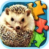 Baby Hedgehog - Jigsaw Puzzle