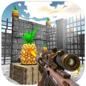 Pineapple Gun Shooting by Sniper