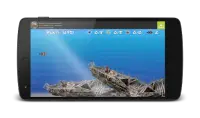 Wonder Fish Giochi Gratuiti HD Screen Shot 3