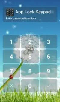 App Lock Keypad Screen Shot 3