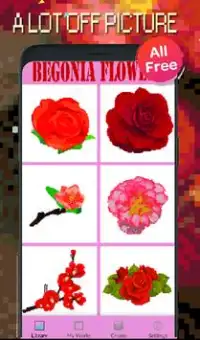 Begonia Flowers Color By Number-Pixel Art 2020 Screen Shot 1