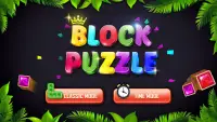 Block Puzzle 2021: Gem Block Puzzle Screen Shot 0