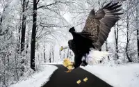 Wild Vögel Schießen - Hähnchen Überleben Wald Jagd Screen Shot 1