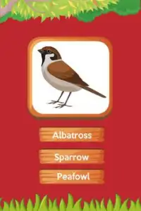 Animals, Birds and Insects  name A-Z Screen Shot 4