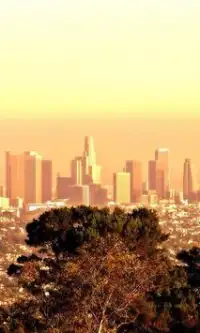 Los Angeles Jigsaw Puzzle Screen Shot 0