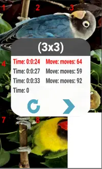 Birds Puzzle Screen Shot 3