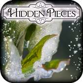 Hidden Pieces: Frozen
