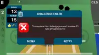 Smash and Slog Cricket Screen Shot 5