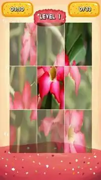 Desert rose Jigsaw Puzzles Screen Shot 2