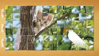 Cat Puzzles - Drag & Swap Screen Shot 2