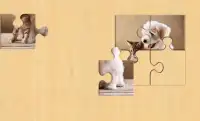Puzzles Inicio Animales Screen Shot 3