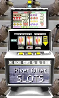 River Otter Slots - Free Screen Shot 0
